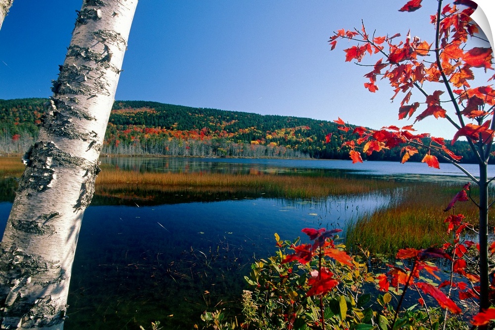View of a lake during fall in Upper Hadlock Pond in Mt. Desert Island, Maine (ME).