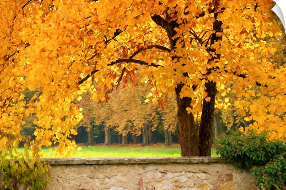 Fine art photograph of a tree with bright yellow leaves in a forest.