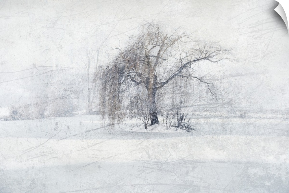 Photograph of a weeping willow tree in the center of a snowy scene with an icy texture overlay.
