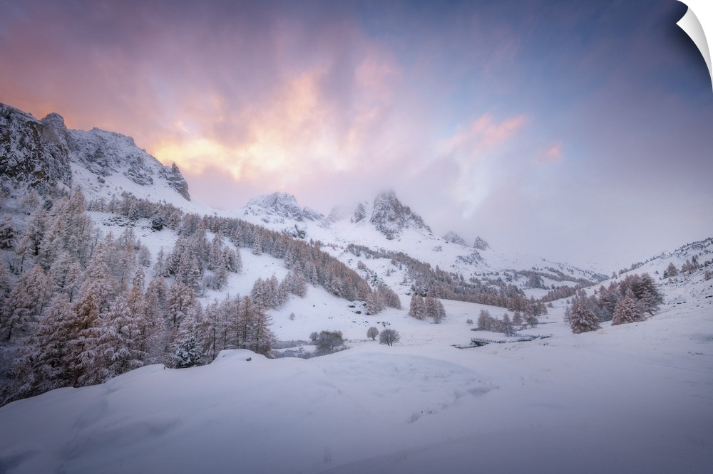 Colored sunset landscape scene on a snowy mountain in the Alpes in France. A pine valley in winter during a quiet moment.