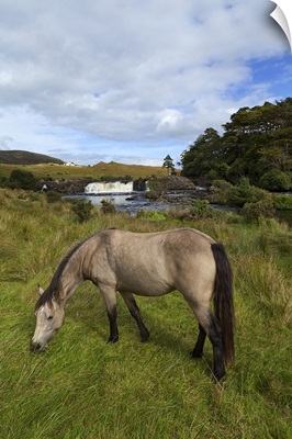 Aasleague Falls, Near Leenaun, County Galway, Ireland