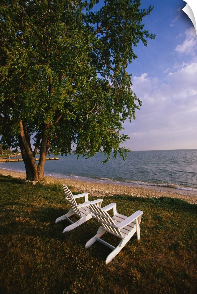 Tall print on canvas of two chairs sitting on grass facing the water with a tree next to them.