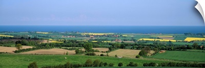 Aerial view of a landscape and quickset hedge, Schleswig-Holstein, Germany