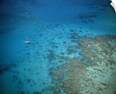 Aerial view of sailboat in the sea over coral reefs, near Isla Palominitos, Puerto Rico