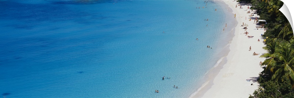 Aerial view of tourists on the beach, Trunk Bay, St. John, US Virgin Islands, West Indies