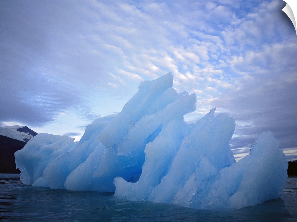 Alaska, Iceberg floating on the water