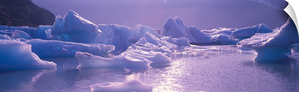 Alaska, Portage Lake, icebergs