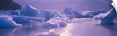Alaska, Portage Lake, icebergs