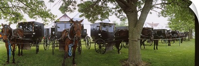 Amish horses and buggies parked at a farm, Arthur, Illinois