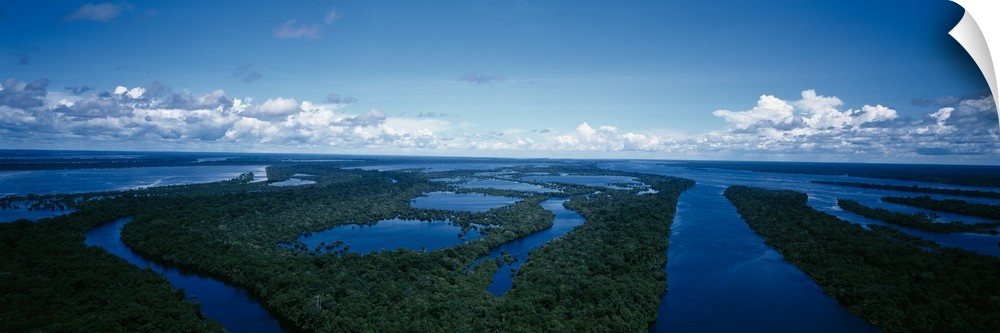 Anavilhanas Archipelago Rio Negro Amazon Brazil