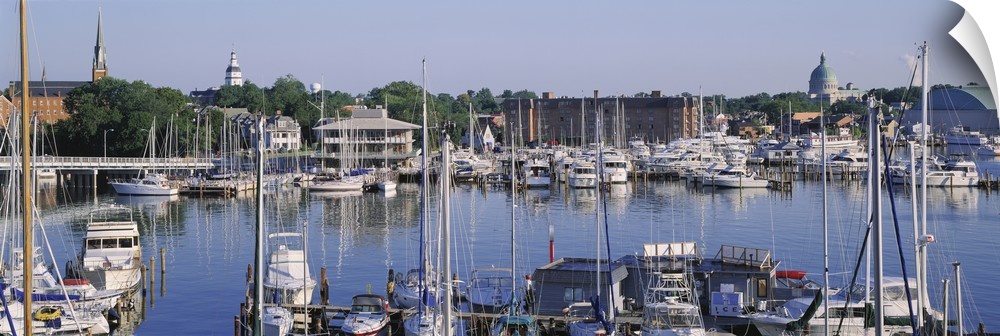 Panoramic photograph of harbor filled with boats with trees in the distance under a clear sky.