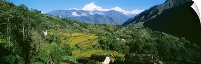 Annapurna Reg Nepal