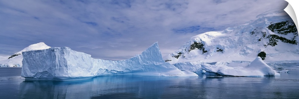 Antarctica, Paradise Bay, Iceberg floating on the water