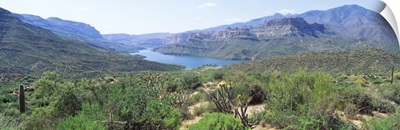Apache Lake Sonoran Desert AZ