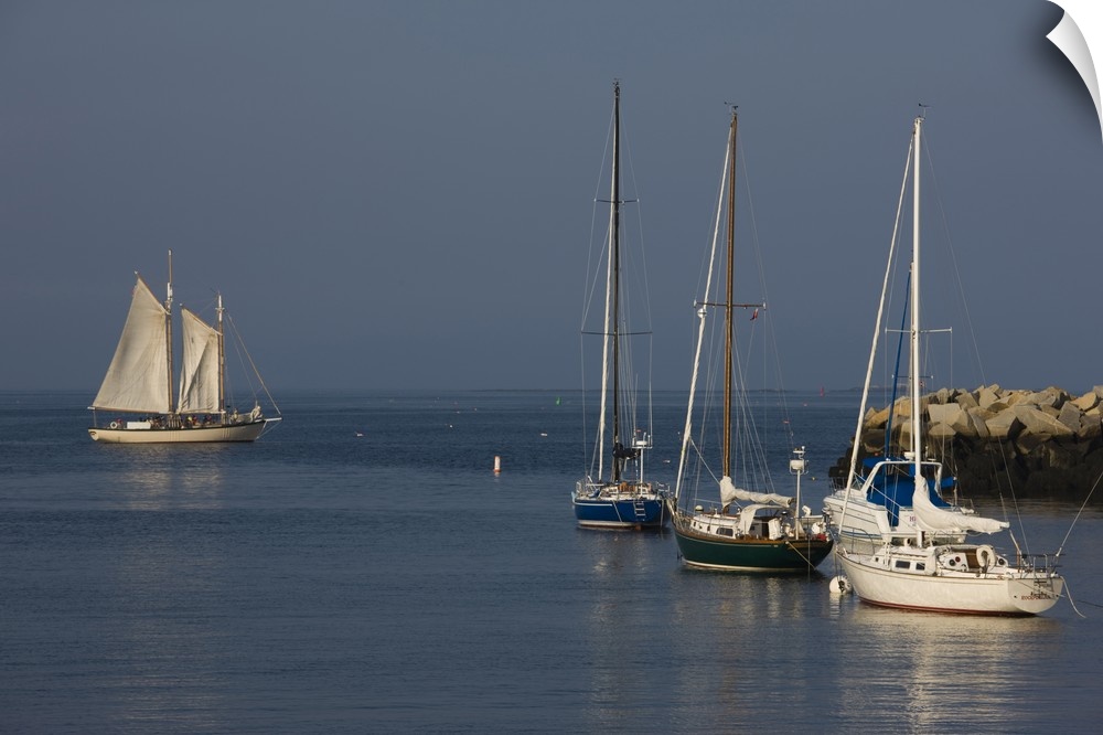 Appledore III sailing ship in the sea, Rockport Harbor, Rockport, Cape Ann, Massachusetts, USA