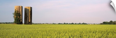 Arkansas, View of grain silos in a field
