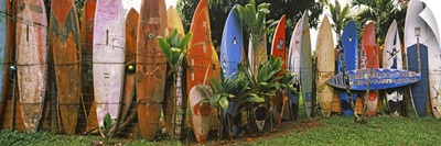Arranged surfboards, Maui, Hawaii