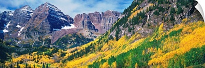 Aspen trees in autumn with Maroon Bells, Elk Mountains, Pitkin County, Colorado