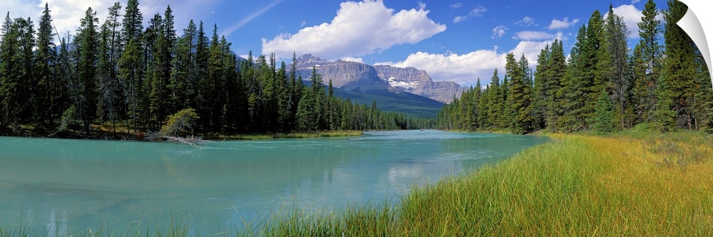 Athabaska River Alberta Canada