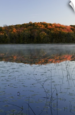 Autumn color forest reflected in Grass Lake, Maplewood State Park, Minnesota