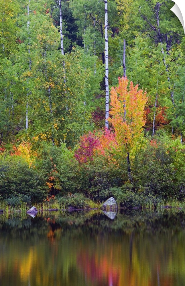 Autumn color trees along Pike River, water reflection, Minnesota