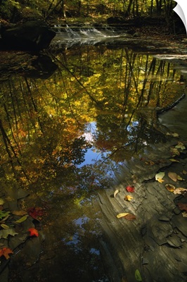 Autumn color trees reflected in stream, Ohio