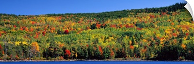 Autumn Eagle Lake Acadia National Park ME