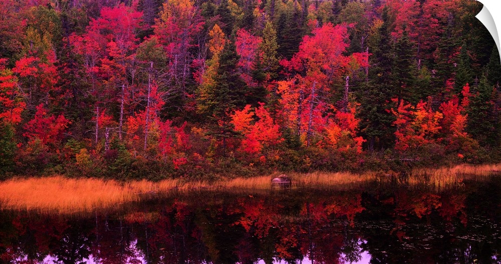Large, landscape photograph of a forest of fall foliage reflecting in calm waters.