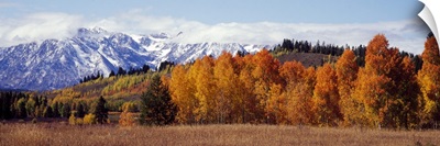 Autumn Grand Teton National Park WY