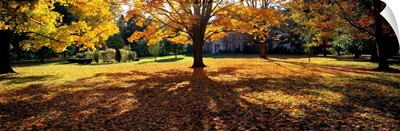 Autumn Holyoke MA