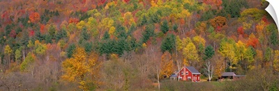 Autumn Scene near Woodstock Vermont