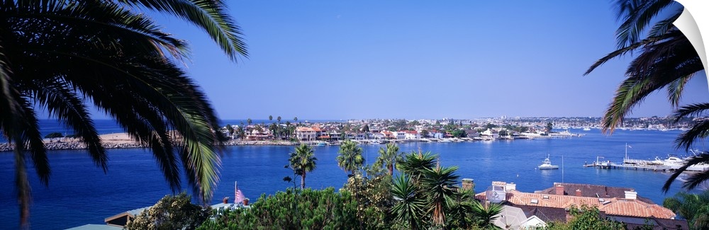 Panoramic photograph of small town on an island seen from behind huge palm leaves.