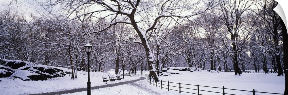 Panoramic photograph of snow covered park.  There are benches, trees, a wooden fence and snow-cleared walkway.