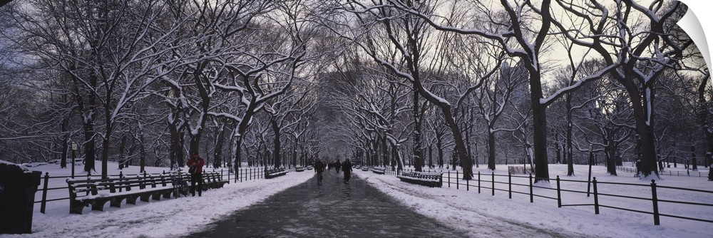 Panoramic view of a cold, snowy walkway through Manhattan central park in New York.