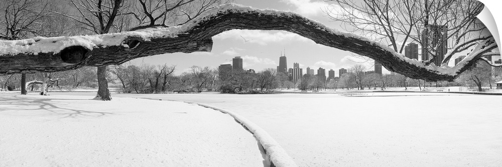 Large panoramic photograph of a snow covered tree branch close up with snow on the ground and the Chicago skyline in the b...