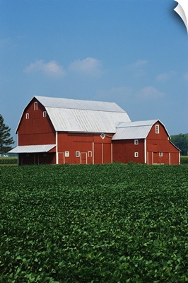 Barn and Corn Field