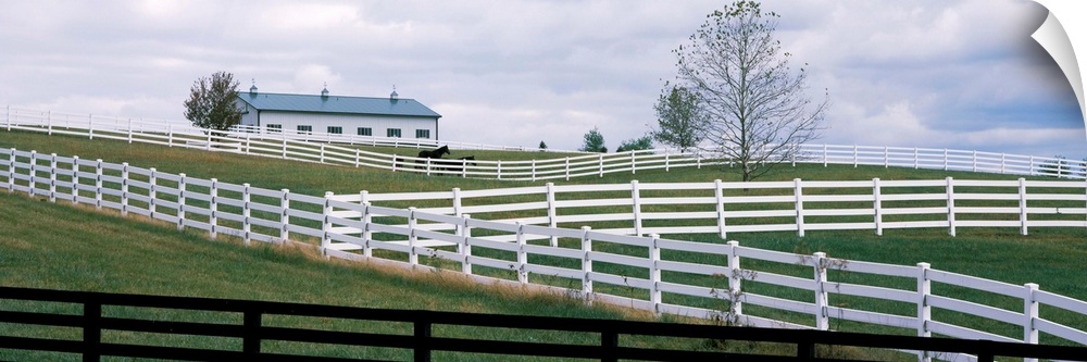 Horse corral fences and barn in Kentucky.	In Lebanon, KY a hillside of white and black fences of horse corrals and horse b...