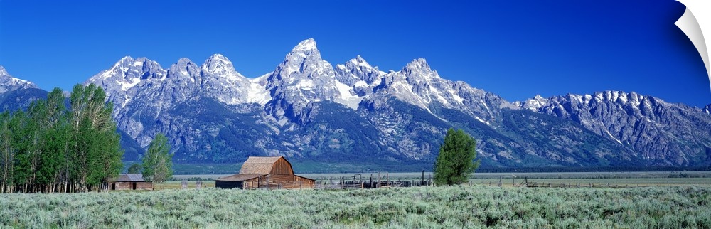 Horizontal, large, panoramic photograph of a barn in a vast field in front of the Tetons in Grand Teton National Park, Wyo...
