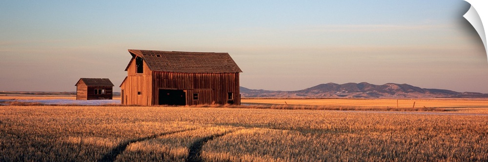 Panoramic photo of an old wood slat barn in the middle of a wide open field with the sun casting shadows as it sets.