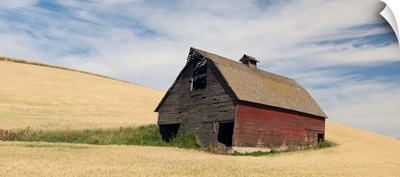 Barn in a wheat field, Colfax, Whitman County, Washington State