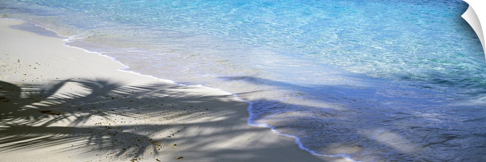 Panoramic shot of a beach with crystal clear water rushing up onto the sand that is partially shadowed by palm trees.
