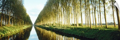 Belgium, tree lined waterway through countryside
