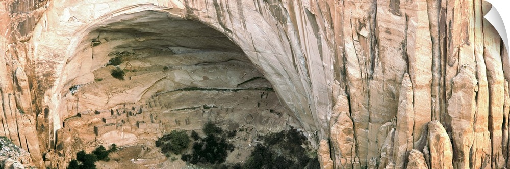 Betatakin cliff dwelling ruins, South Fork Laguna Canyon, Navajo National Monument, Arizona, USA.