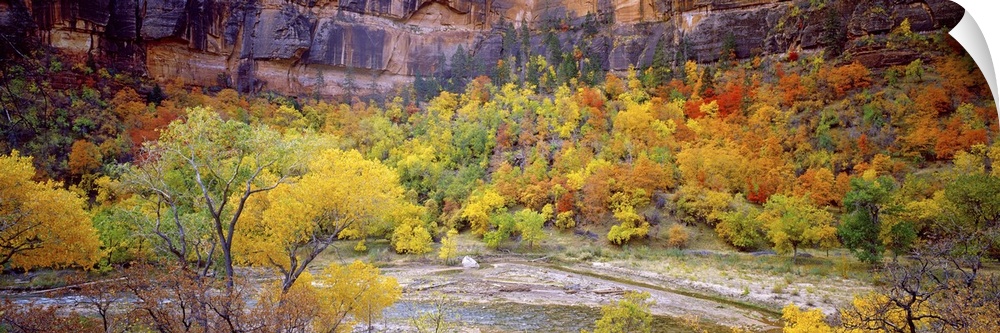 Big Bend in fall, Zion National Park, Utah