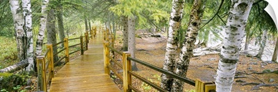 Boardwalk along a river, Gooseberry River, Gooseberry Falls State Park, Minnesota