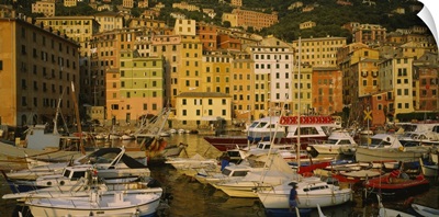 Boats at the harbor, Camogli, Liguria, Italy