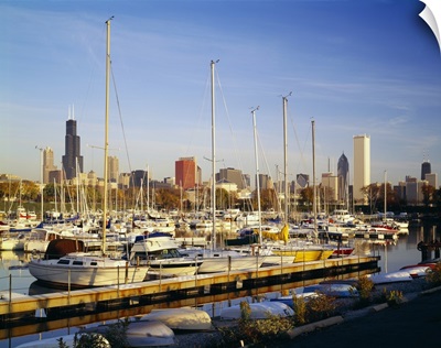 Boats in a row at a marina, Chicago, Illinois