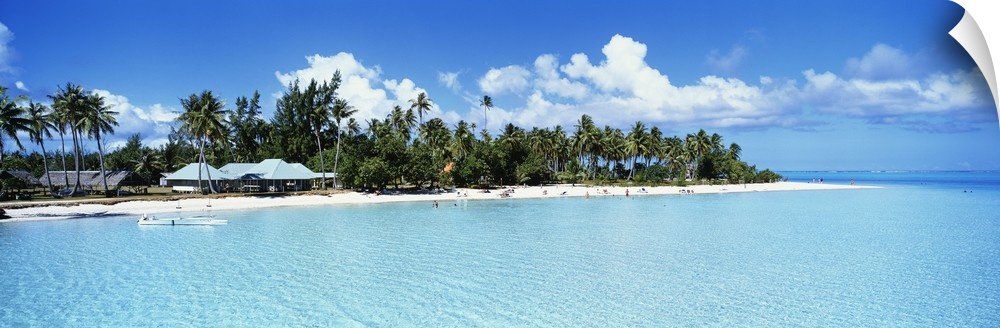 A panoramic photograph of a tropical beach covered with palm trees and small open shelters surrounded by clear water.