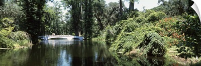 Bridge across a swamp, Magnolia Plantation and Gardens, Charleston, Charleston County, South Carolina,