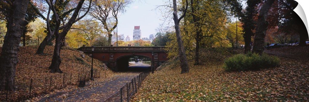 Panoramic photograph of overpass with tunnel walkway below lined by trees with city skyline in the distance.